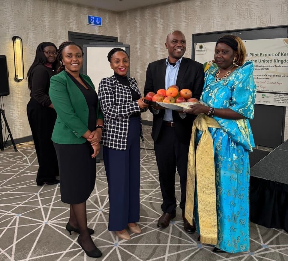UK reopens to Kenyan mangoes, with Christmas consignment