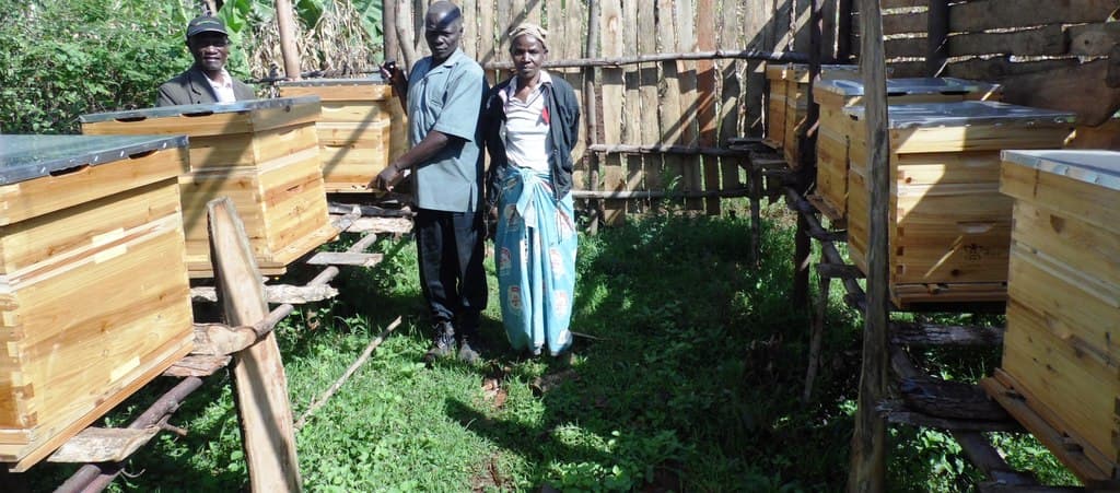 Temporary bee hives help farmers utilise limited spaces
