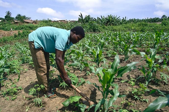 Yara fertiliser program increases maize yield two-fold