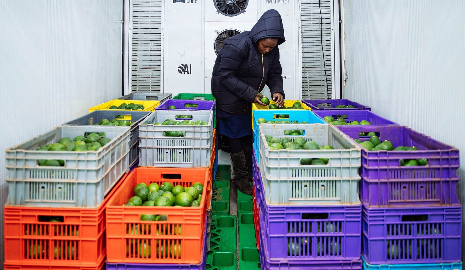 Farmers set to benefit from Sh258m cold storage financing