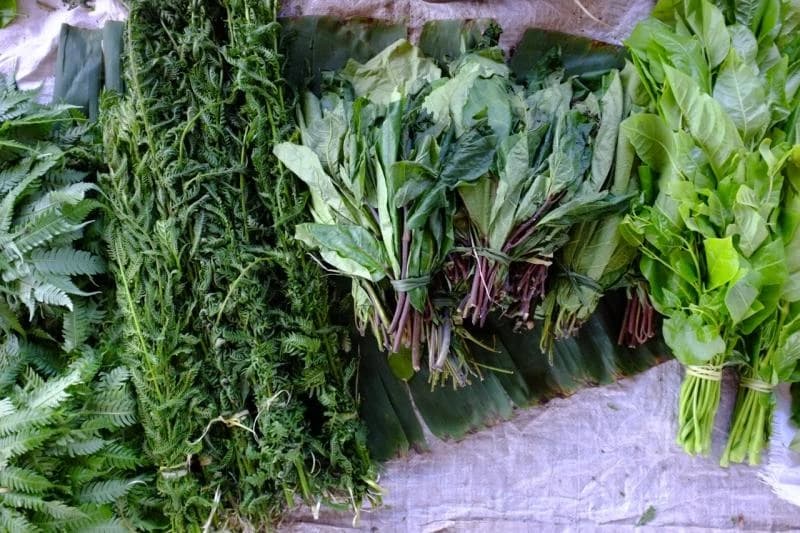 Farmers switch to indigenous vegetable farming as demand soars