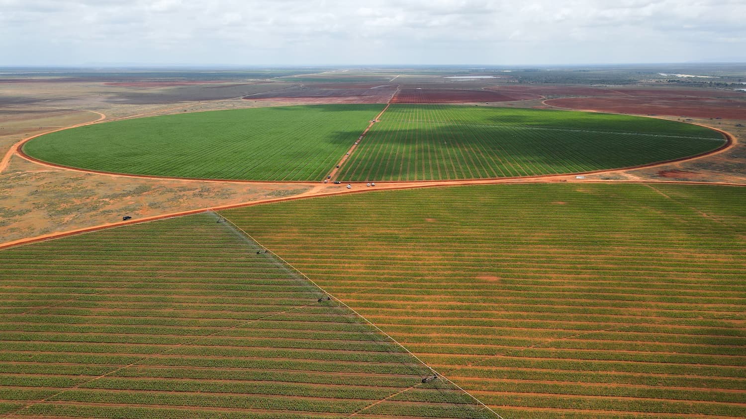 At a Model Farm in Kenya, Precision Farming is Transforming Food Production