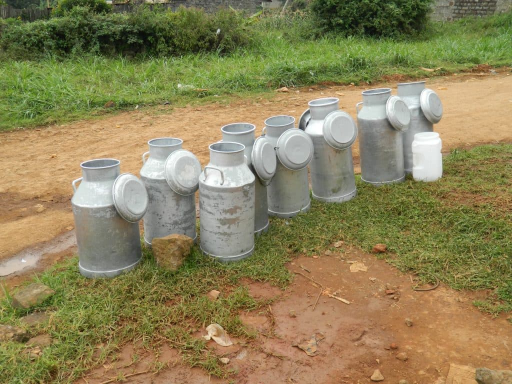Government clears the air about claims of contaminated milk in the market