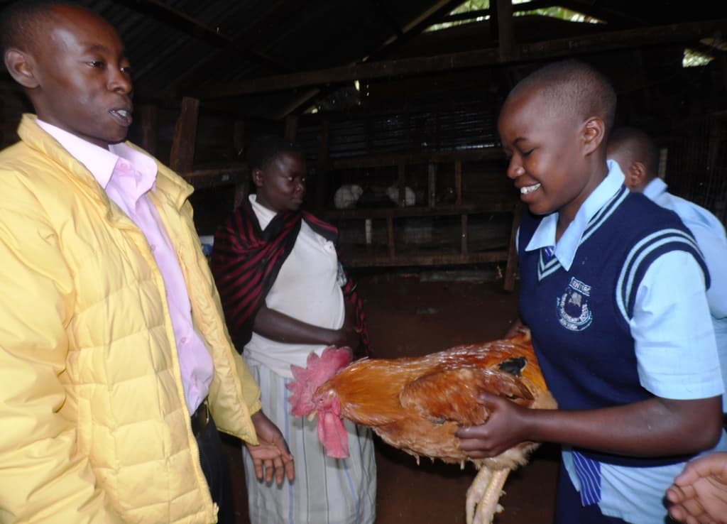 Poultry farmer makes over 25 per cent profit from end-year festivities