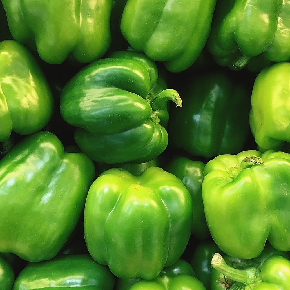 FarmBiz TV: Green pepper delivers quality sales through long season and resilience.