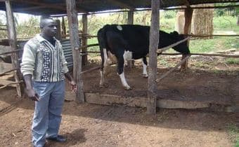 Rift farmer creates empire with low cost cattle feed