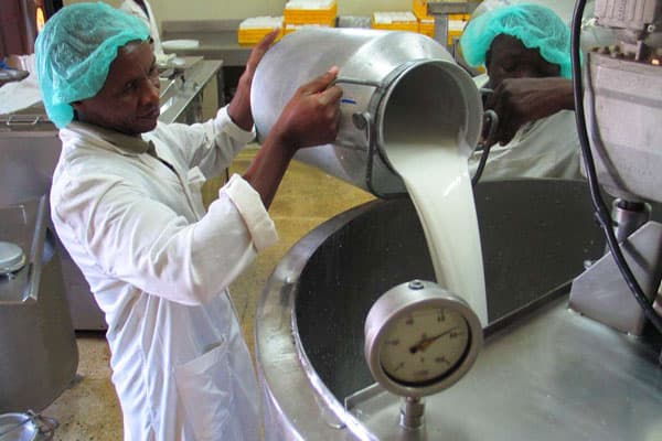 Nairobi Company launches mobile app to help dairy farmers maintain records