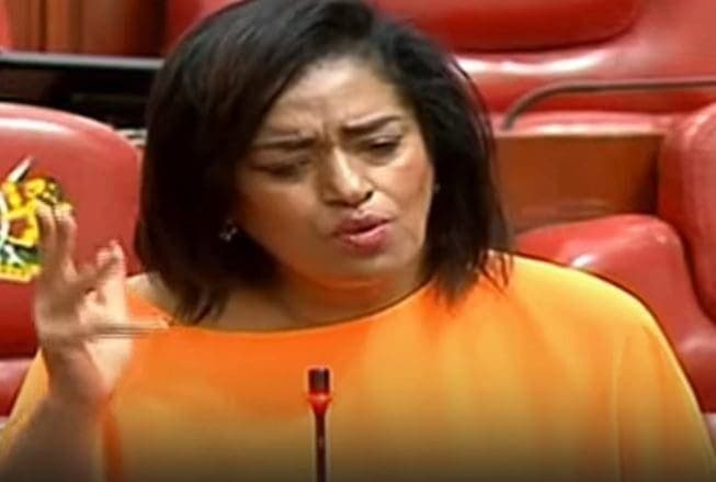 Esther Passaris Blasts Diaspora Kenyans for criticizing Ruto