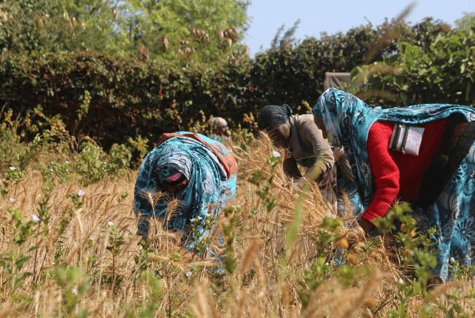 Isiolo, Marsabit, Samburu To Host County Investment Conference On Sustainable Tourism, Trade, Livestock and Agriculture Development