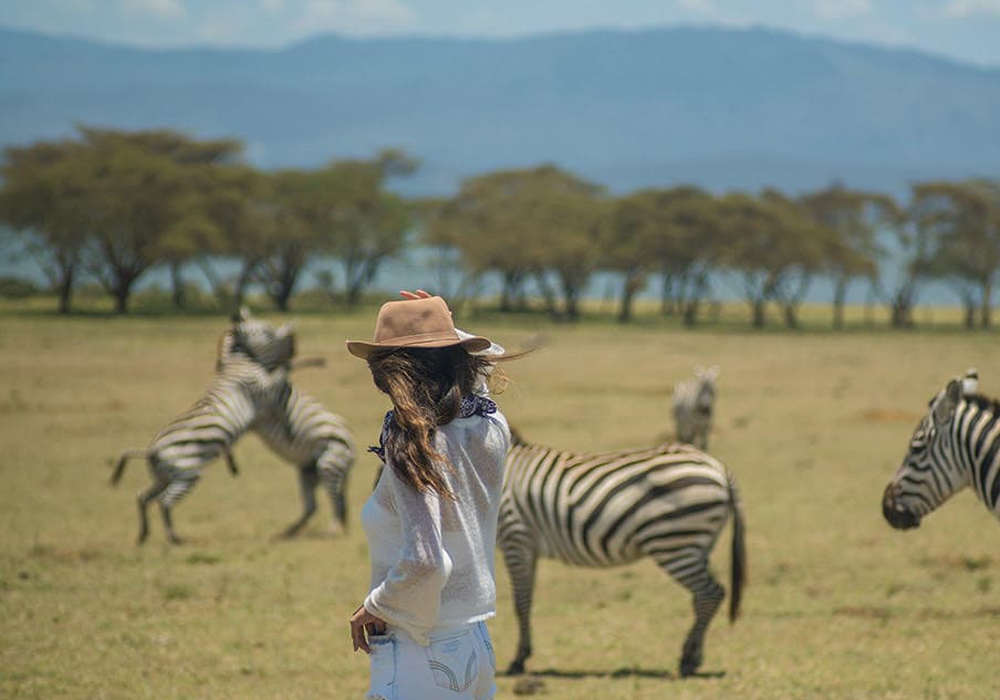 Lake flooding forces Nakuru tourism players to embrace ecotourism