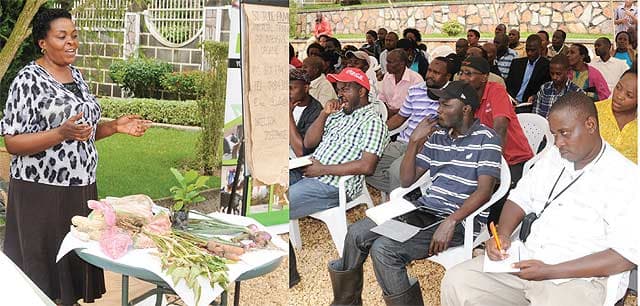 Agricultural Center to provide free two day training for Murang’a farmers