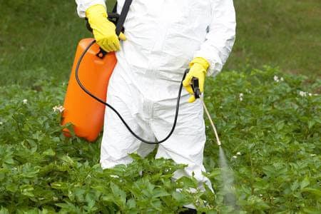 Smallholders get new, professional spraying service from Sh50 a farm to ensure safe pesticide use