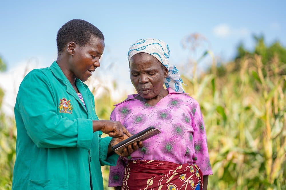 CABI partners to provide farmers/experts free education and training