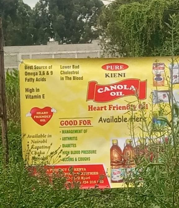 Kieni farmers earn up to Sh270,000 an acre after switching to canola