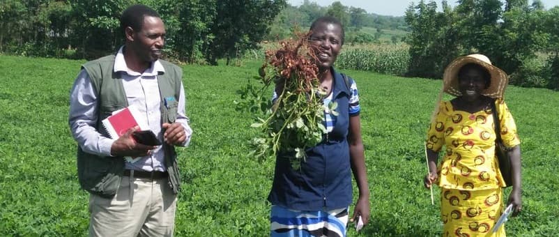 Kenyan nut manufacturers seek local farmers as import costs soar