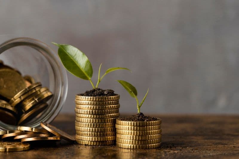 How to Invest in KCB Money Market Fund in 2024