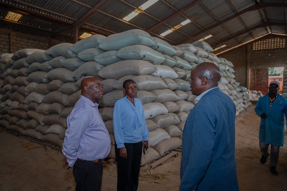 Govt steps in to clear 60,000 bags of Mwea rice before new harvest