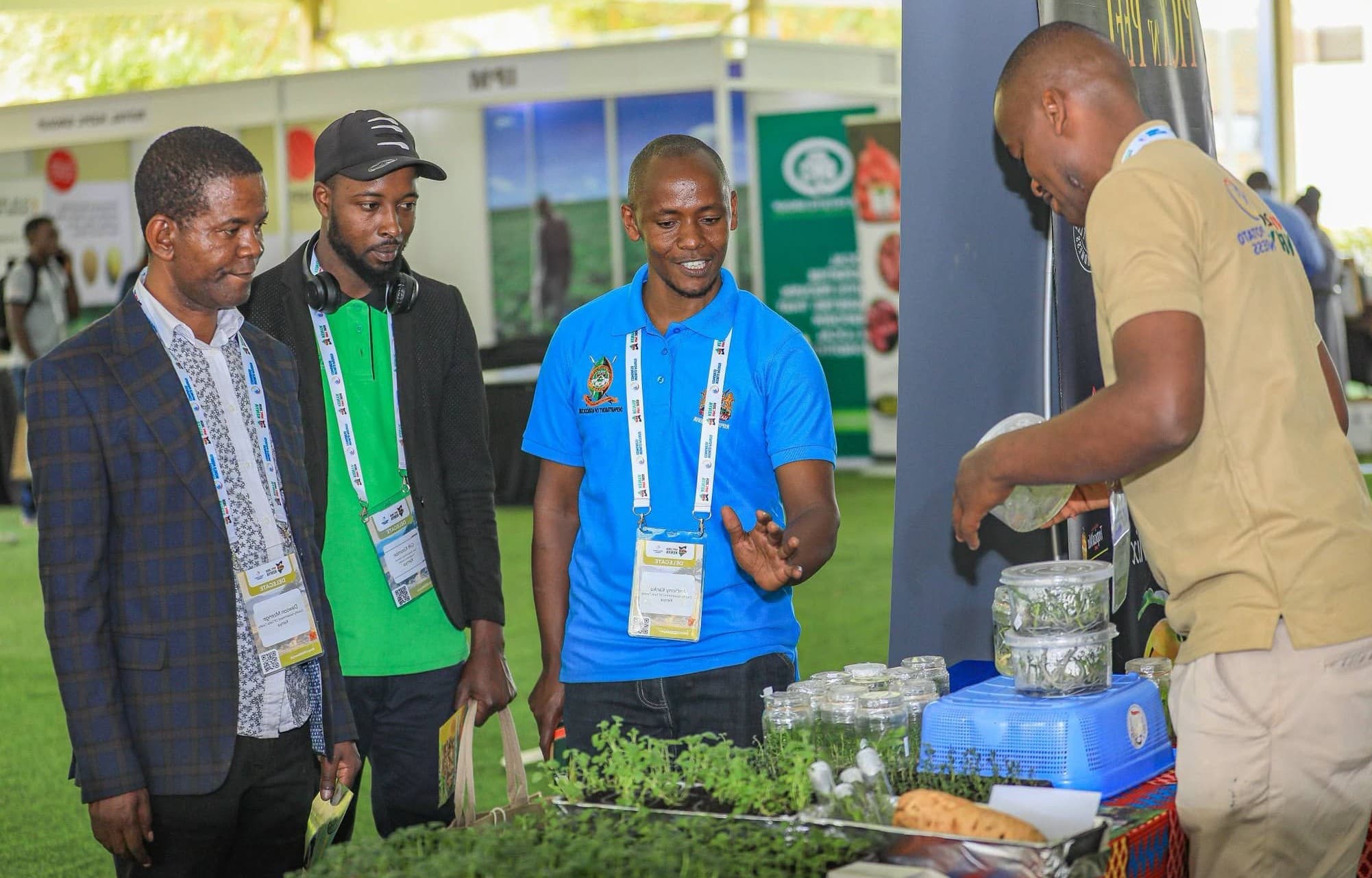 Taita Taveta opts for potato farming to boost incomes