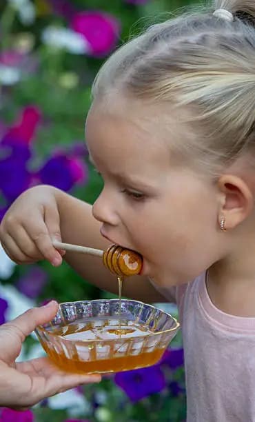 How to Introduce Honey to a Baby