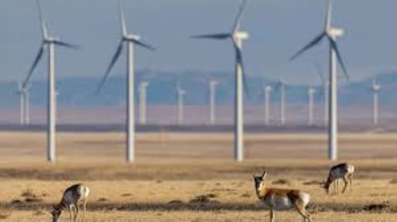 Laramie Range Wind Project Enters State-Level Siting Phase as Wyoming Permitting Battle Intensifies