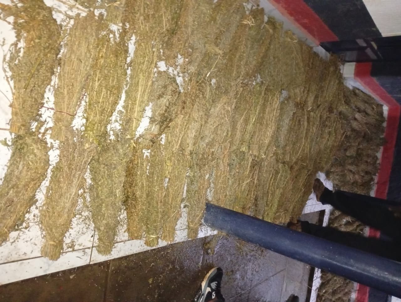 NACADA, police officers seize bhang worth Ksh1M in Molo night operation