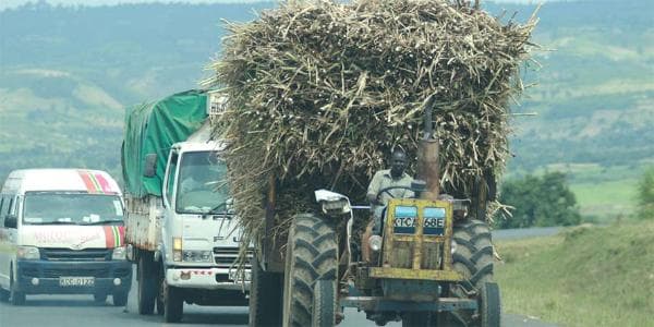 Government to vet and pay genuine cane farmers Sh2.6bn before Christmas
