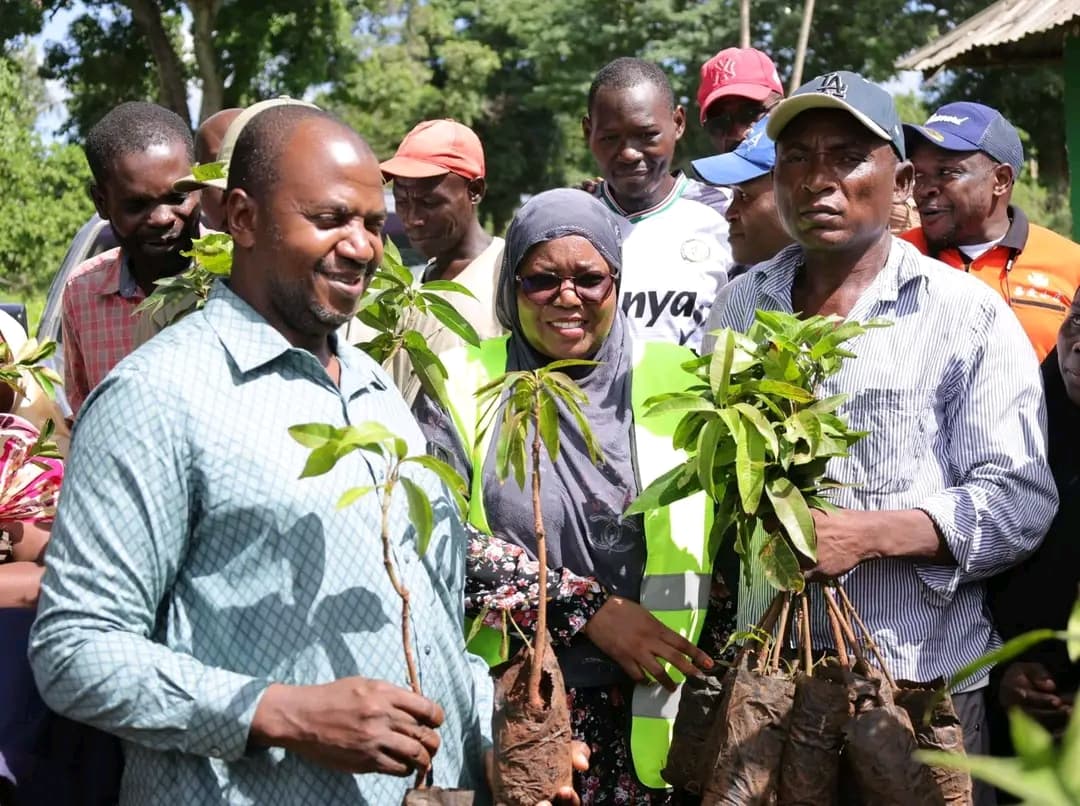 Governor Achani presides over distribution of 33,000 seedlings to 5,000 farmers