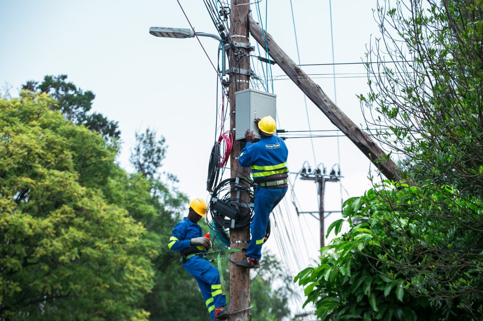 Kenya Power net profit grows to Ksh 24B