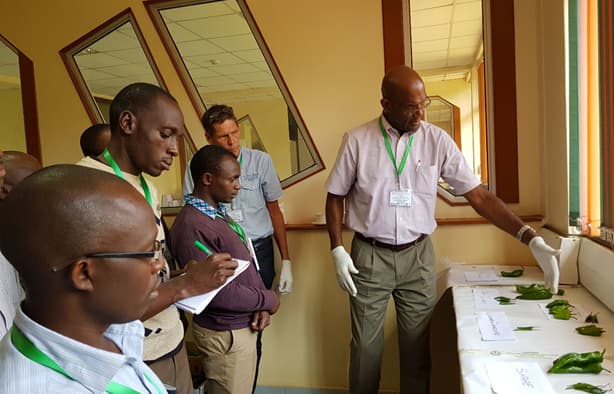 KEPHIS hosts workshop on application of international quality standards for fresh fruits and vegetables