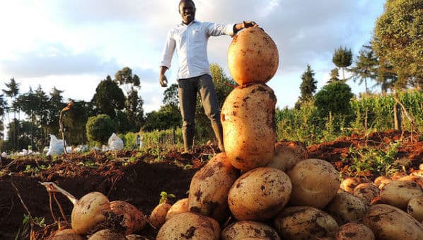 Measuring Africa’s agricultural takeoff is set to make billionaires, from ‘poor men’s fields’