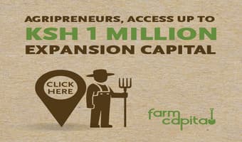 Profit and loss sharing credit model entices youth to farming