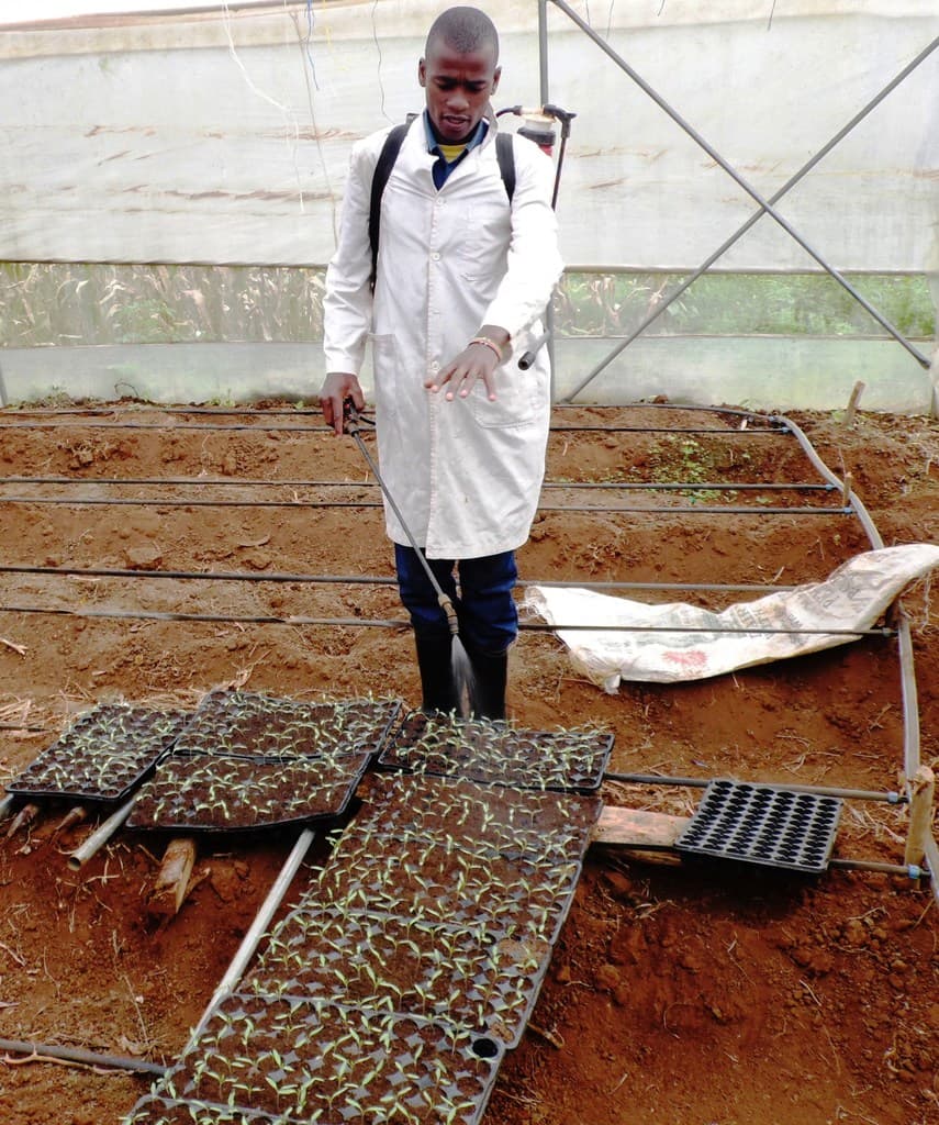 Equitel offering up to Sh3million loans to farmers