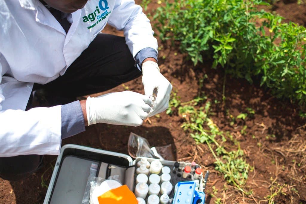 School children to learn about soil using new educational materials