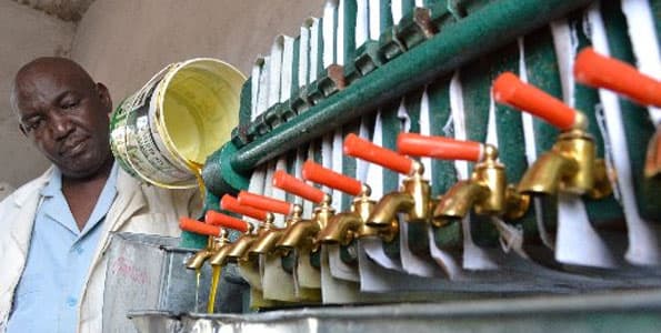 Oil firm buying canola, pumpkin, black and neem seeds from all-comers