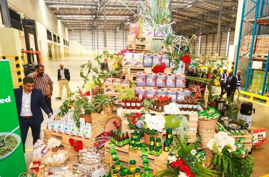 Creditor Moves to Liquidate Twiga Tatu SEZ Limited