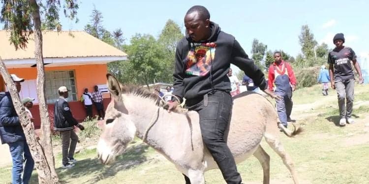Little-Known Details About Timothy Kariuki, Ol-Kalou Candidate Who Campaigned on a Donkey