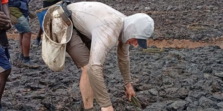 Canadian Tree Planter in Mombasa on a Mission to Dethrone Kenyan