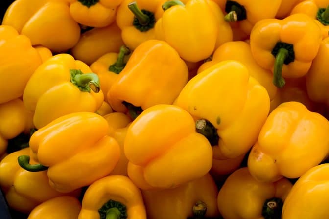 Yellow capsicum profitable as its supply remains low
