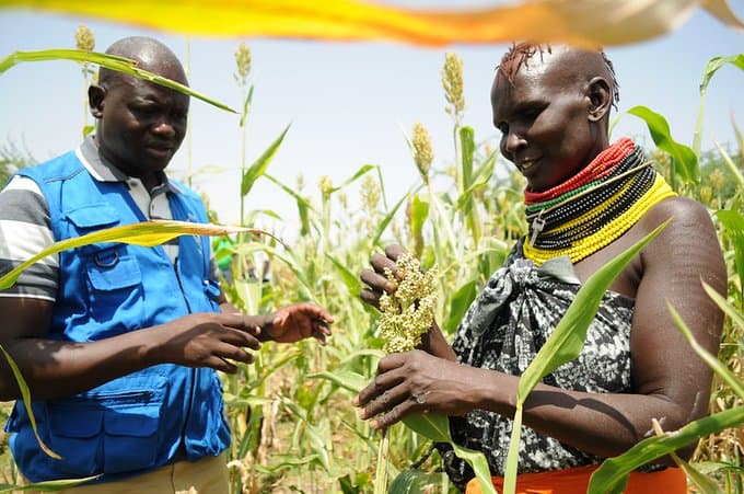COP28: USAID announces $100M support for climate-smart agriculture innovation
