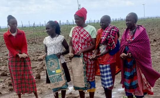 Narok farmers innovate to protect declining donkey numbers