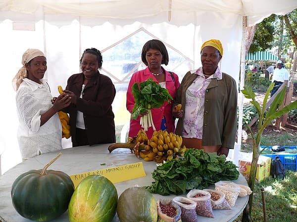 EU launches new project to improve women’s fortune in agribusiness in Nairobi