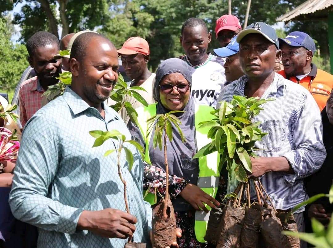 Kwale County distributes 33,000 seedlings to farmers