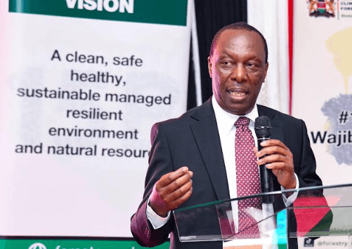 Bamboo stakeholders push for green growth, investment and jobs