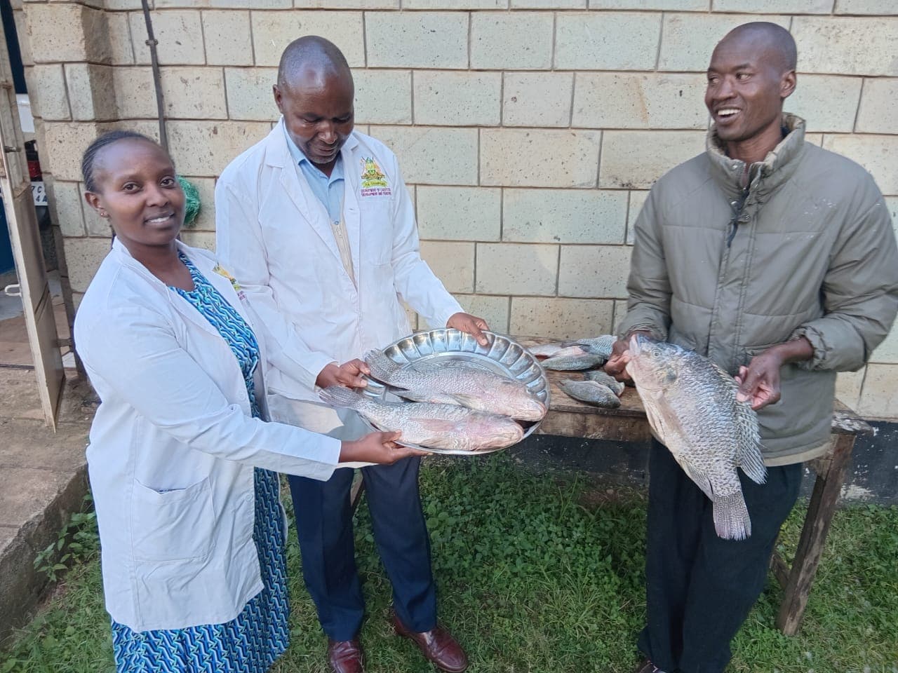 Kesses Dam project start producing fish