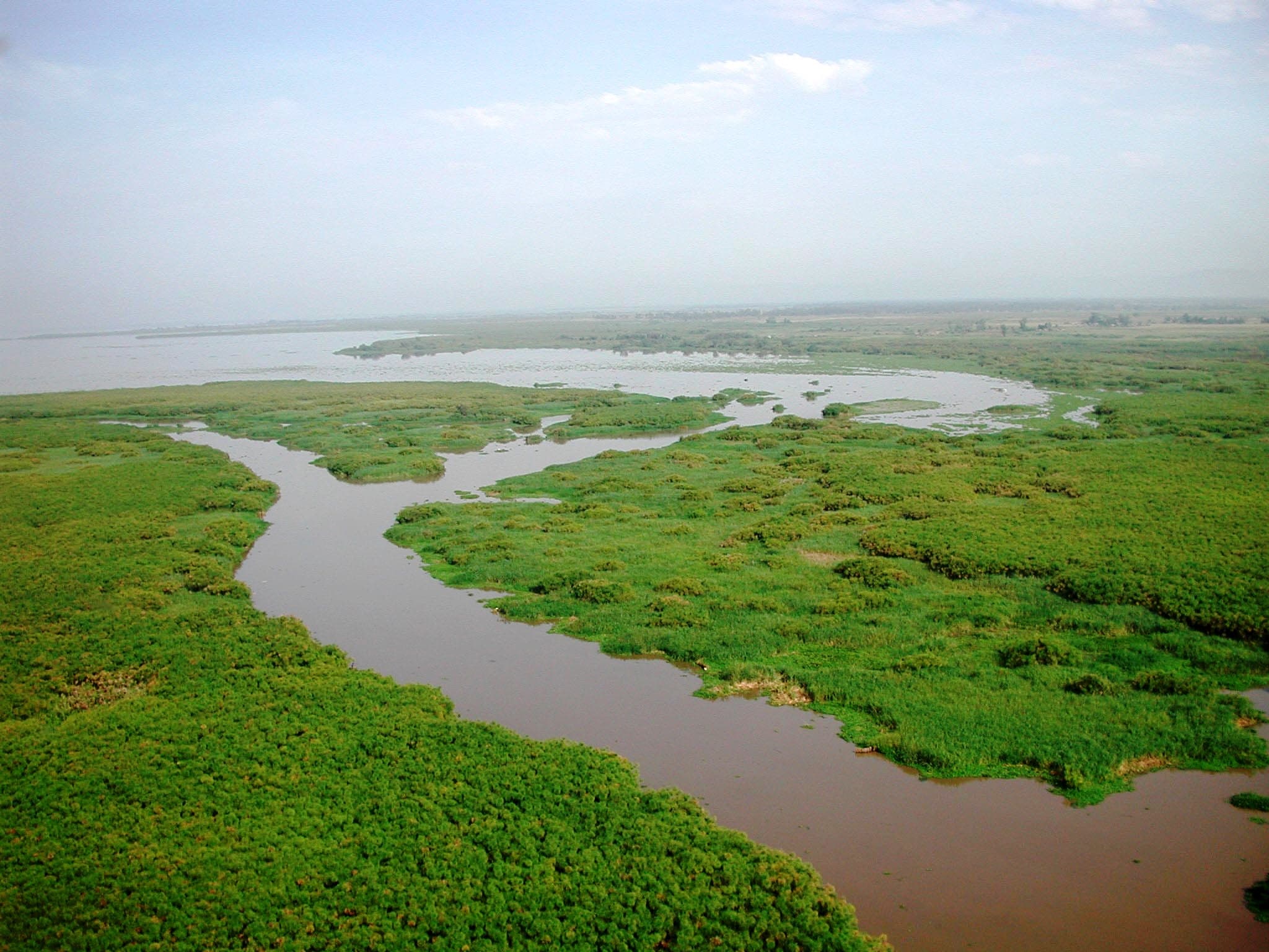 Ahero women take up rice paddies in Kano plains