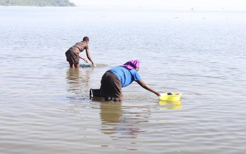 Form Four student drowns in Lake Victoria while on trip in Homa Bay