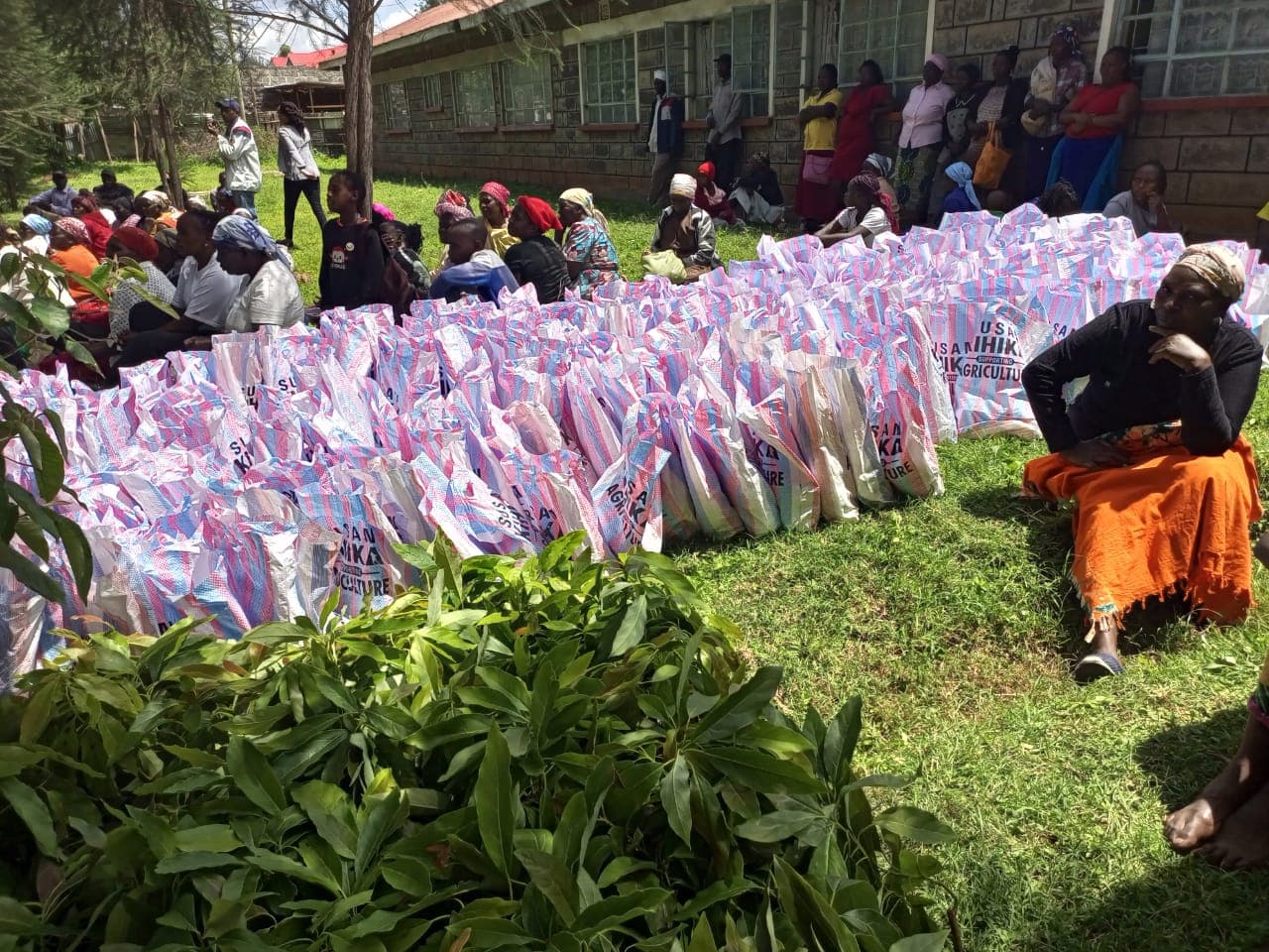 Farmers find private-sector success in pyrethrum on Nakuru stimulus