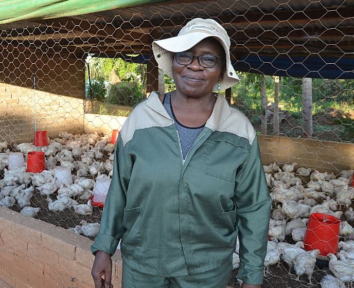Jobs fund assists farmers to find markets for their produce