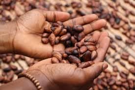 Why Kenya must stop exporting wealth in raw form