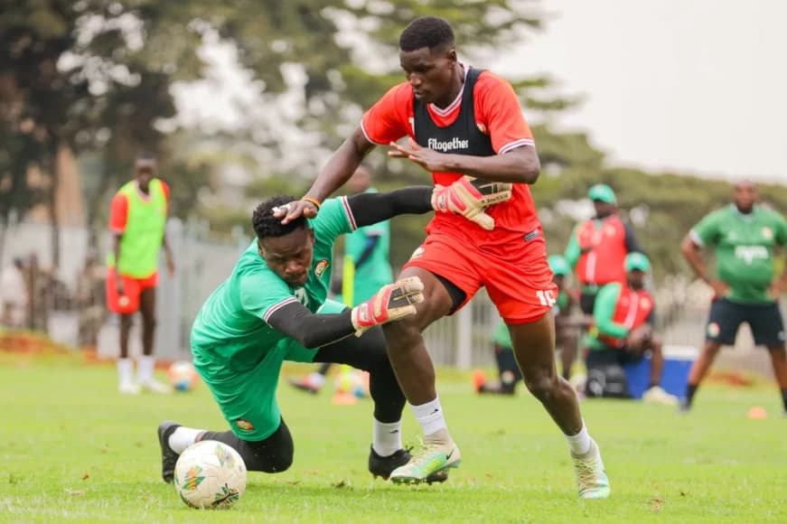 Kenya vs D.R. Congo: Key Expectations on CHAN 2024 Opener